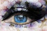 Auge Auge
